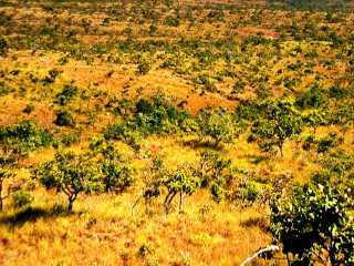 Cerrado, Brasil